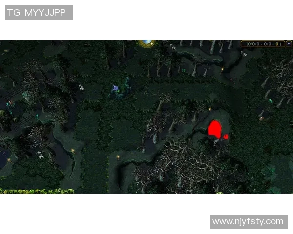 深度对话王伟的DOTA2人生探索与成长之路的真实故事